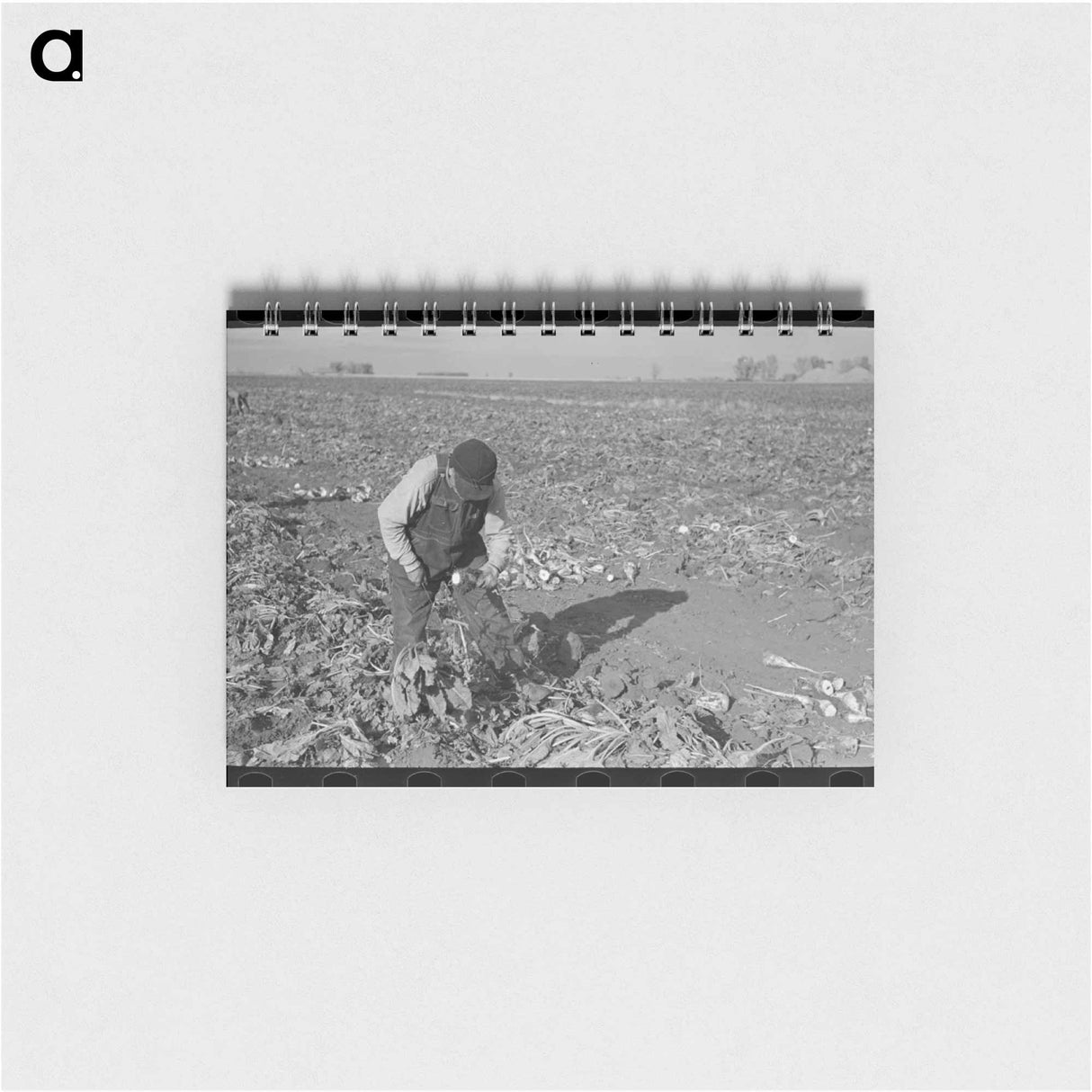 アートメモ帳-Topping Sugar Beets
 - ラッセル リー Memo.