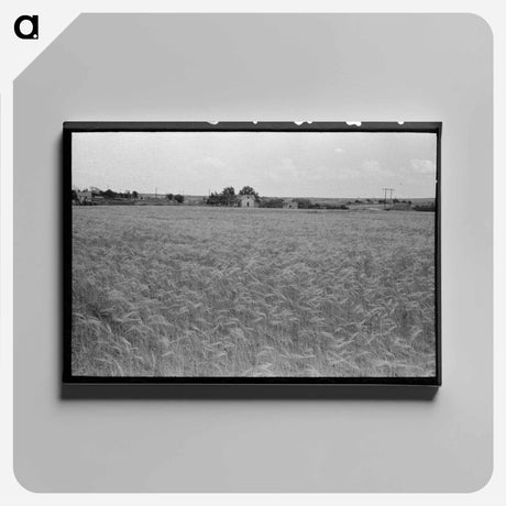 アートパネル-Field of Wheat
 - ラッセル リー Canvas.