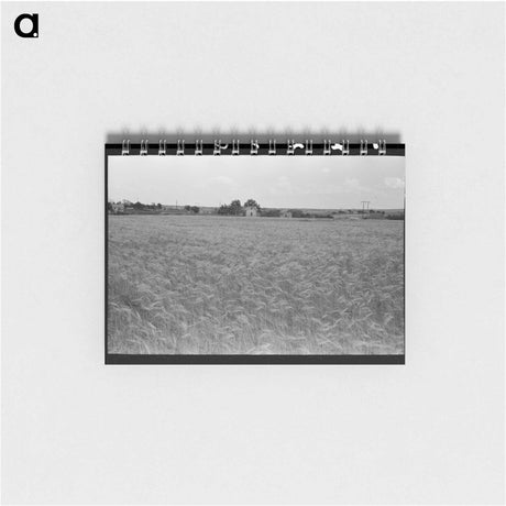アートメモ帳-Field of Wheat
 - ラッセル リー Memo.