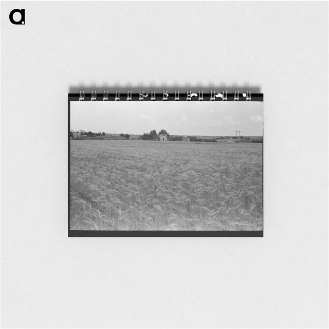 アートメモ帳-Field of Wheat
 - ラッセル リー Memo.