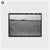 アートポストカード-Field of Wheat
 - ラッセル リー Postcard.