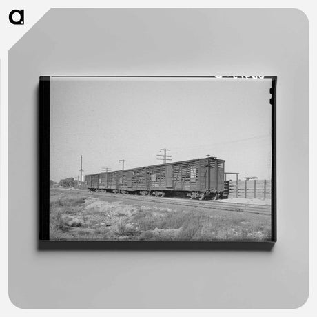 アートパネル-Willcox Cattle Cars
 - ラッセル リー Canvas.