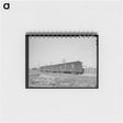 アートメモ帳-Willcox Cattle Cars
 - ラッセル リー Memo.