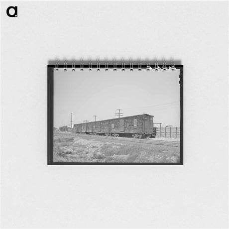アートメモ帳-Willcox Cattle Cars
 - ラッセル リー Memo.
