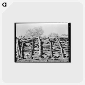 アートポストカード-Mesquite Corral
 - ラッセル リー Postcard.
