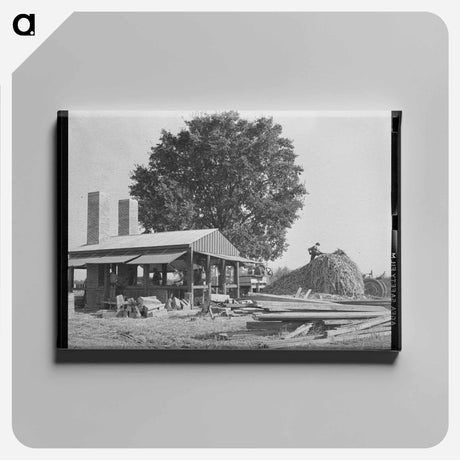 アートパネル-Sorghum Plant, Lake Dick Project
 - ラッセル リー Canvas.