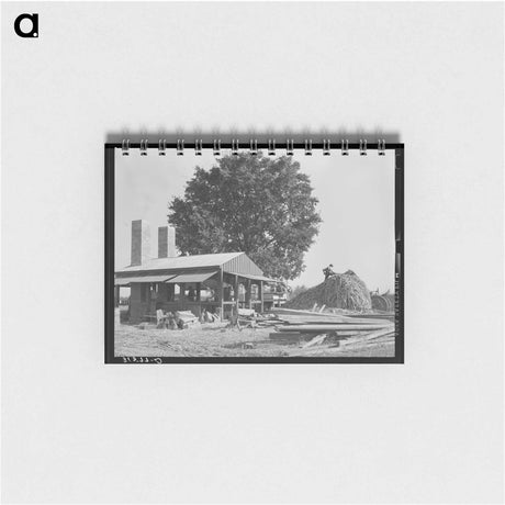 アートメモ帳-Sorghum Plant, Lake Dick Project
 - ラッセル リー Memo.