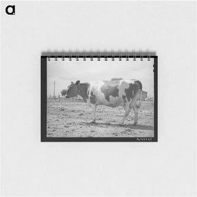 アートメモ帳-Guernsey Cow at Casa Grande Valley Farms
 - ラッセル リー Memo.