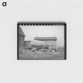アートメモ帳-Barnyard Scene
 - ラッセル リー Memo.