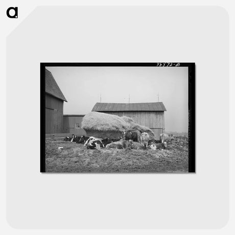 アートポストカード-Barnyard Scene
 - ラッセル リー Postcard.