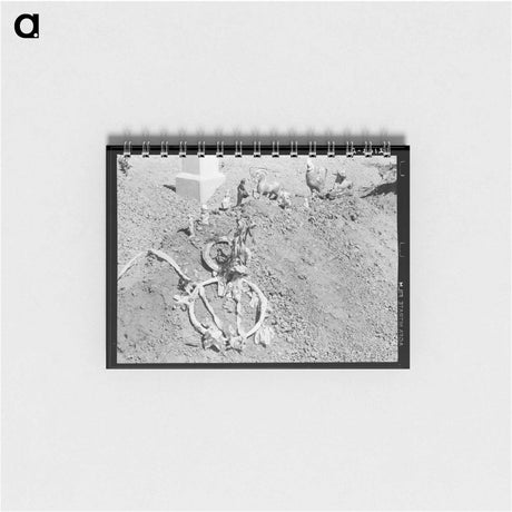 アートメモ帳-Mexican Grave
 - ラッセル リー Memo.