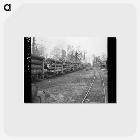 アートポストカード-Lumber Train to Rhinelander
 - ラッセル リー Postcard.