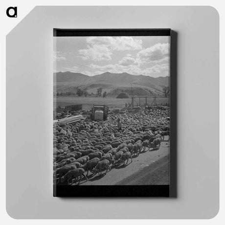 アートパネル-Sheep in Grant County
 - ラッセル リー Canvas.