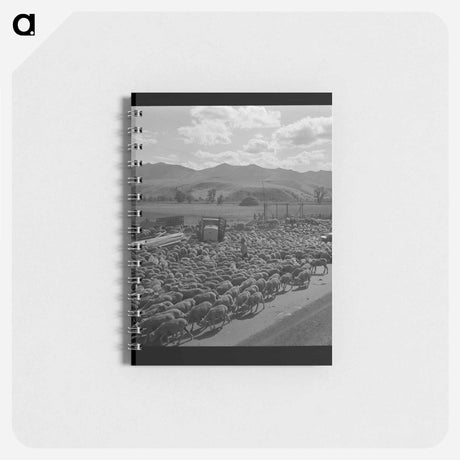 アートメモ帳-Sheep in Grant County
 - ラッセル リー Memo.