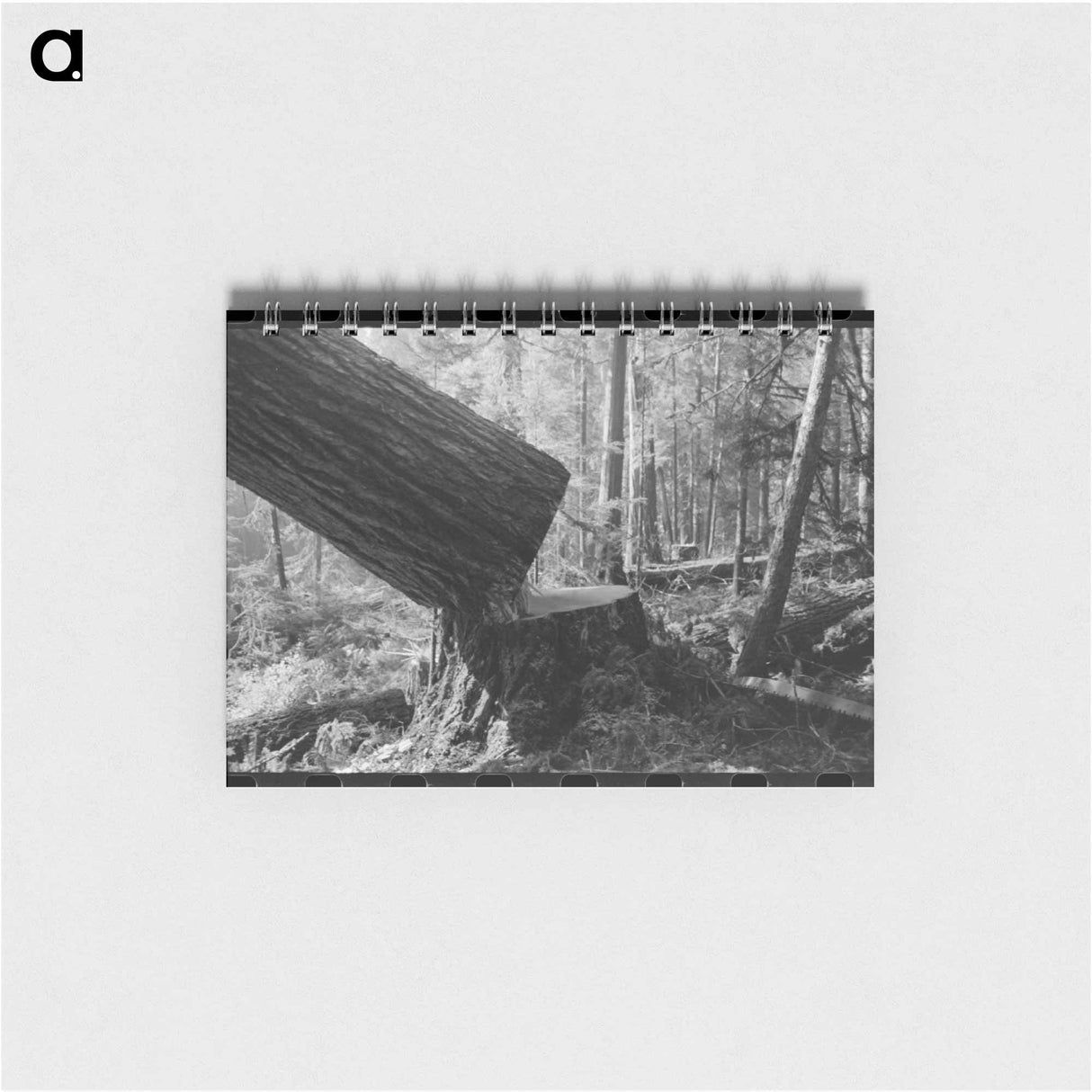 アートメモ帳-Falling a Tree, Long Bell Lumber Company
 - ラッセル リー Memo.
