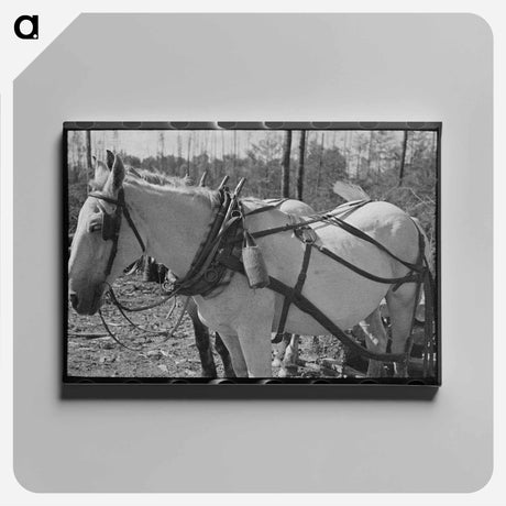 アートパネル-Water Bottle at Lumberjacks' Camp
 - ラッセル リー Canvas.