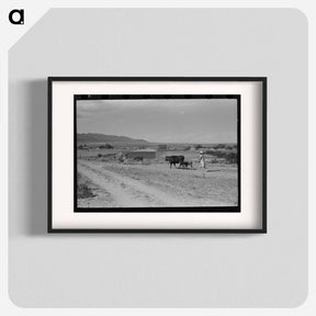アートポスター-Taos Pasture
 - ラッセル リー Poster.