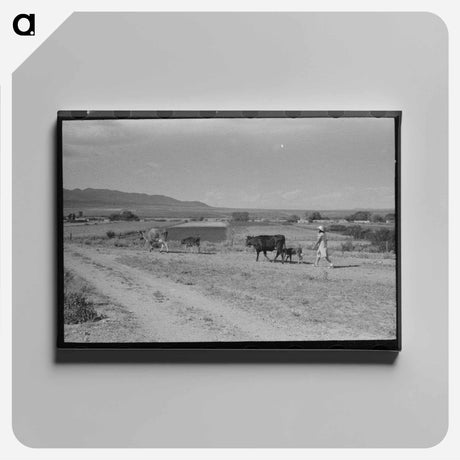 アートパネル-Taos Pasture
 - ラッセル リー Canvas.