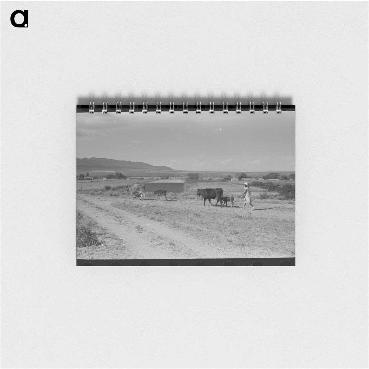 アートメモ帳-Taos Pasture
 - ラッセル リー Memo.