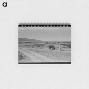 アートメモ帳-Taos Pasture
 - ラッセル リー Memo.