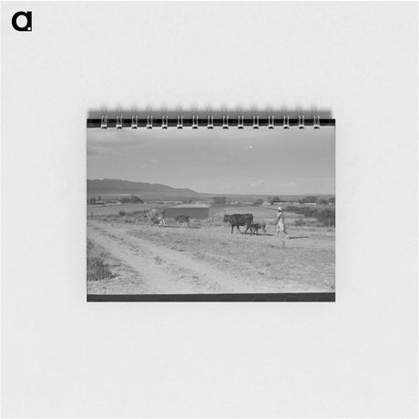 アートメモ帳-Taos Pasture
 - ラッセル リー Memo.