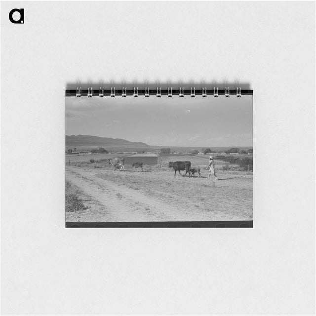 アートメモ帳-Taos Pasture
 - ラッセル リー Memo.