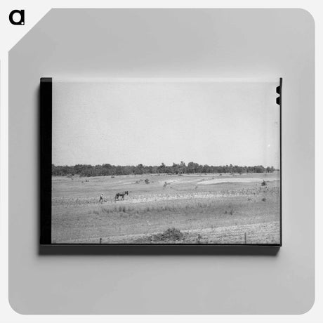 アートパネル-Strip Farming Near Sallisaw
 - ラッセル リー Canvas.