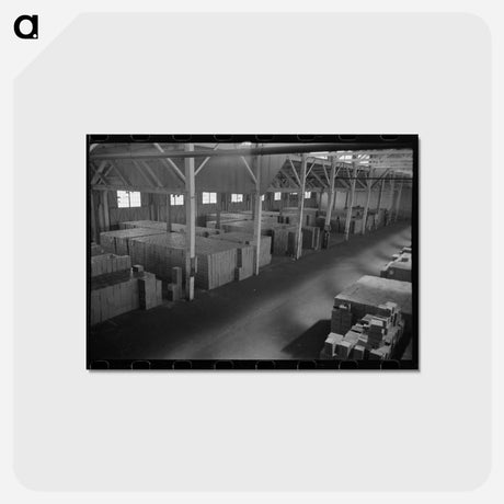 アートポストカード-Canned Salmon, Astoria
 - ラッセル リー Postcard.