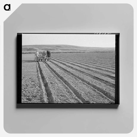 アートパネル-Discing the Land
 - ラッセル リー Canvas.