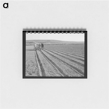アートメモ帳-Discing the Land
 - ラッセル リー Memo.