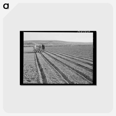 アートポストカード-Discing the Land
 - ラッセル リー Postcard.
