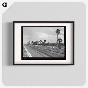 アートポスター-Irrigation Canal and Citrus Grove
 - ラッセル リー Poster.