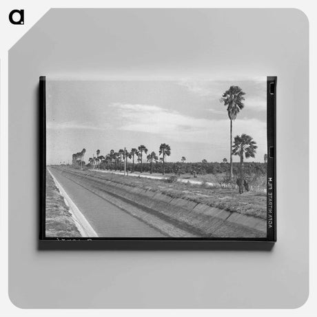アートパネル-Irrigation Canal and Citrus Grove
 - ラッセル リー Canvas.