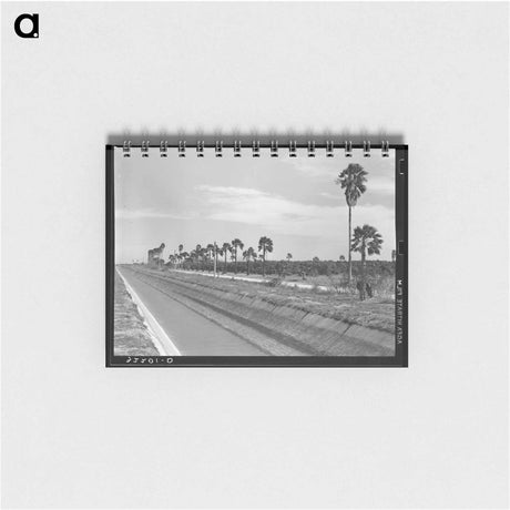 アートメモ帳-Irrigation Canal and Citrus Grove
 - ラッセル リー Memo.