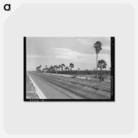 アートポストカード-Irrigation Canal and Citrus Grove
 - ラッセル リー Postcard.