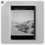 アートパネル-San Benito Hills
 - ラッセル リー Canvas.