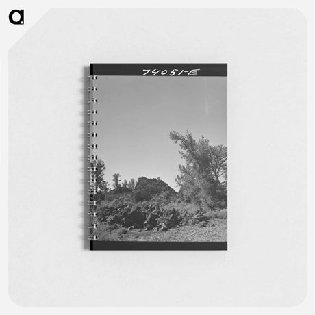 アートメモ帳-Craters of the Moon Trees
 - ラッセル リー Memo.
