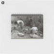 アートメモ帳-Washing along the irrigation ditch, Chamisal, New Mexico
 - ラッセル リー Memo.