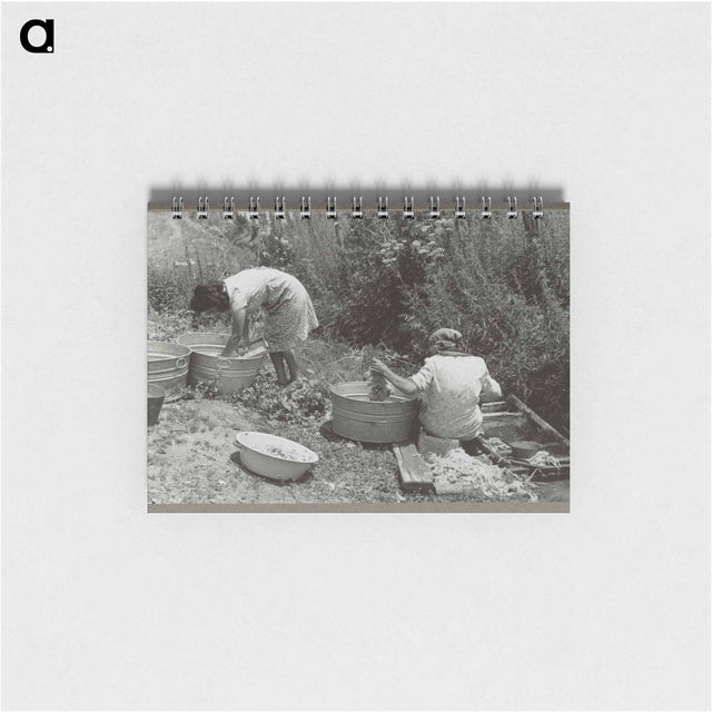 アートメモ帳-Washing along the irrigation ditch, Chamisal, New Mexico
 - ラッセル リー Memo.