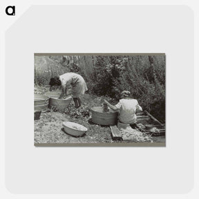 アートポストカード-Washing along the irrigation ditch, Chamisal, New Mexico
 - ラッセル リー Postcard.