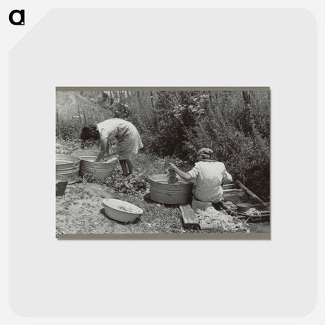 アートポストカード-Washing along the irrigation ditch, Chamisal, New Mexico
 - ラッセル リー Postcard.