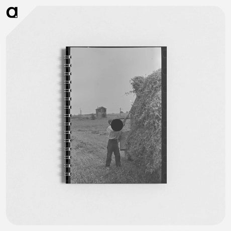 アートメモ帳-Pea Vines
 - ラッセル リー Memo.