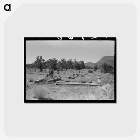 アートポストカード-Dragging Logs, Pie Town
 - ラッセル リー Postcard.