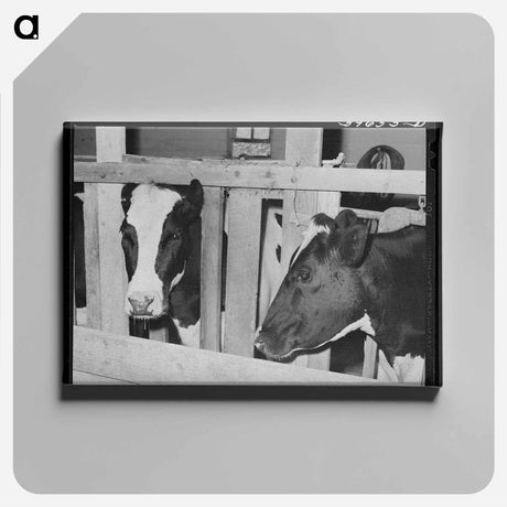 アートパネル-Cows of Canyon County
 - ラッセル リー Canvas.