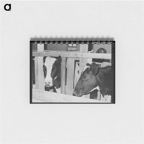 アートメモ帳-Cows of Canyon County
 - ラッセル リー Memo.