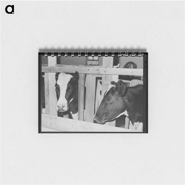 アートメモ帳-Cows of Canyon County
 - ラッセル リー Memo.
