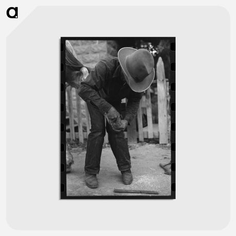 アートポストカード-Mormon Farmer Shoeing a Horse
 - ラッセル リー Postcard.