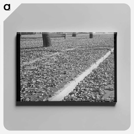アートパネル-Dead Leaves in Marysville
 - ラッセル リー Canvas.