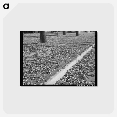 アートポストカード-Dead Leaves in Marysville
 - ラッセル リー Postcard.