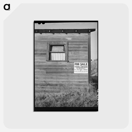 アートポストカード-Sign. Placer County
 - ラッセル リー Postcard.